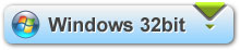 32bit windows